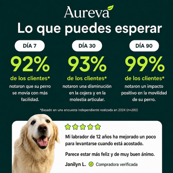 Suplemento para las articulaciones
