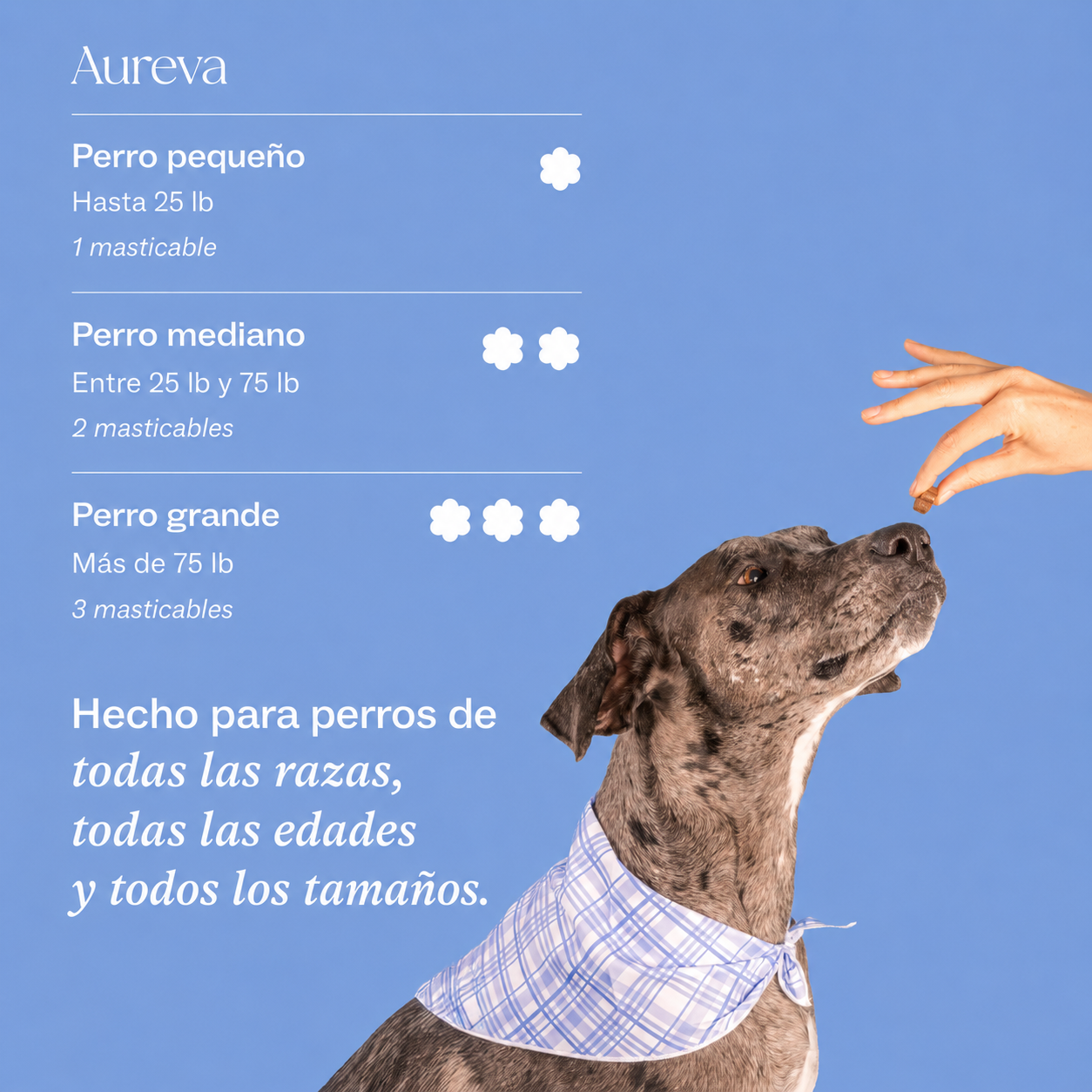 Multivitamínico diario