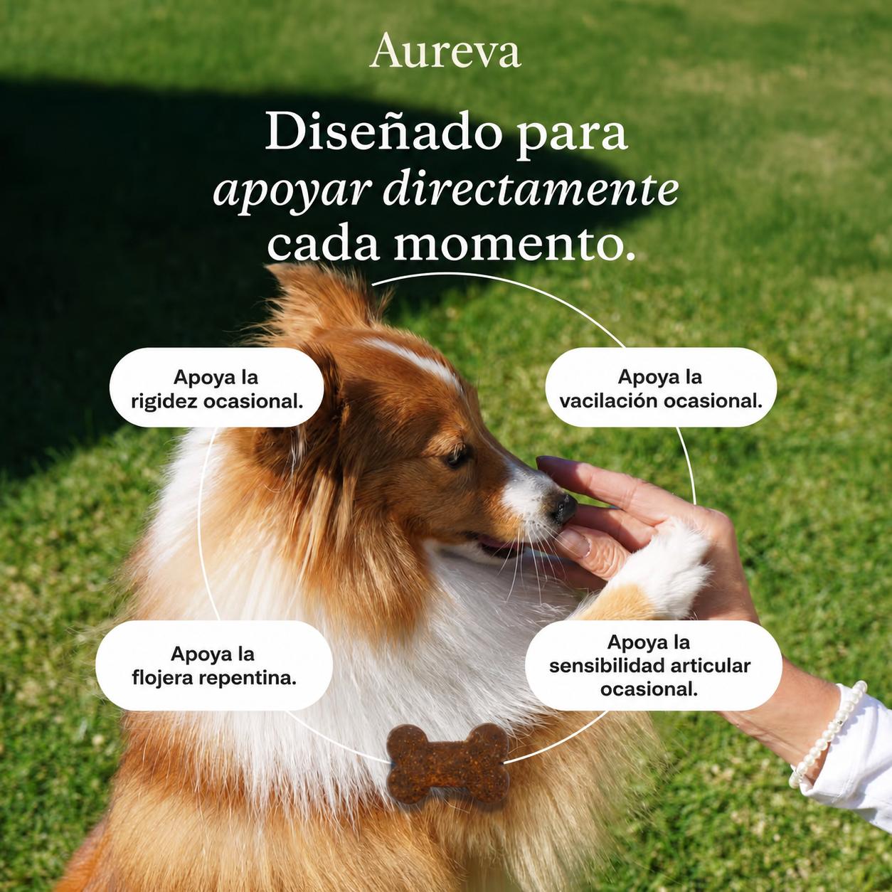 Premios para el cuidado de las articulaciones