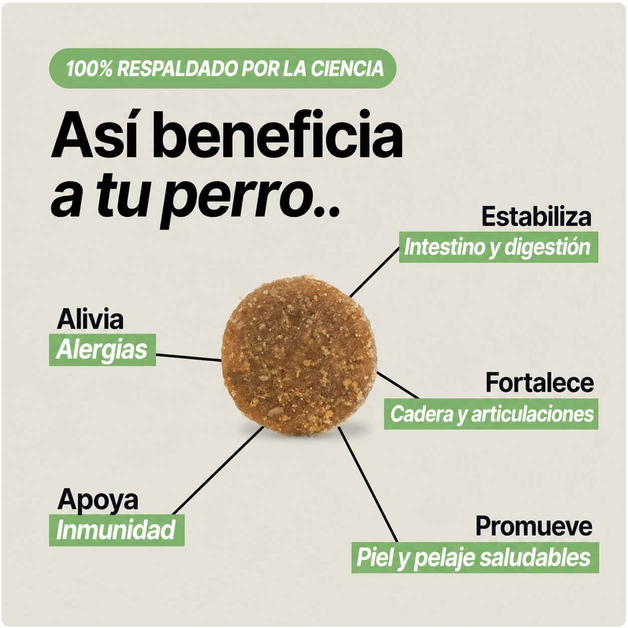 Aureva Masticable de Nutrición Diario para Perros