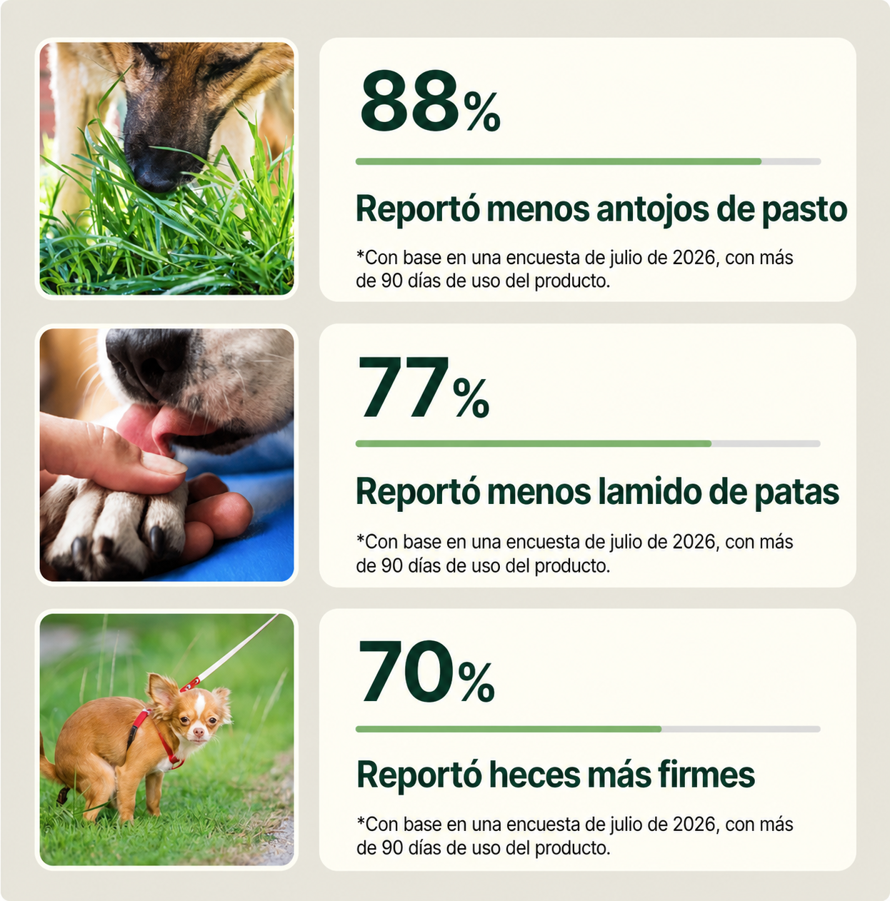 Aureva Masticable de Nutrición Diario para Perros